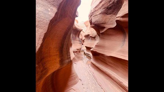 Page: Rams Head Canyon Guided Hike