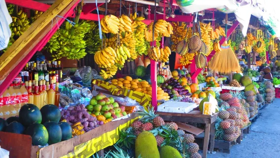 From Manila: Tagaytay Countryside Wonders: A Half-Day Tour