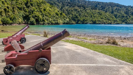 Crucero por Marlborough Sounds y Ship Cove desde Picton