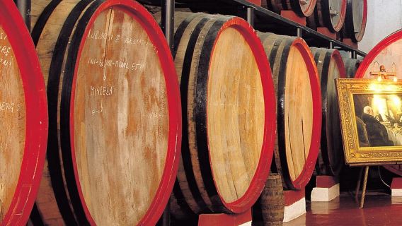 มาร์ซาลา: ทัวร์โรงผลิตไวน์พร้อมชิมไวน์และผลิตภัณฑ์ท้องถิ่น