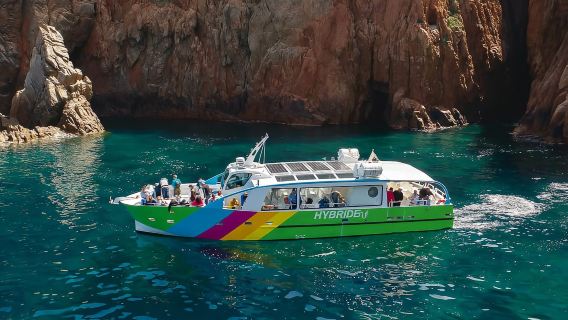 Córcega: Excursión guiada por mar desde Porto-Ota