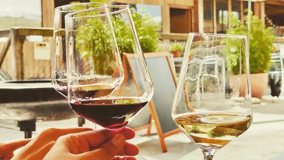 Lucerna: Experiencia de degustación tradicional de Zvieri suizo