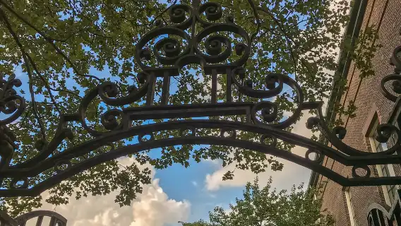 Brooklyn: The Bridge, DUMBO, & Brooklyn Heights Best of Tour