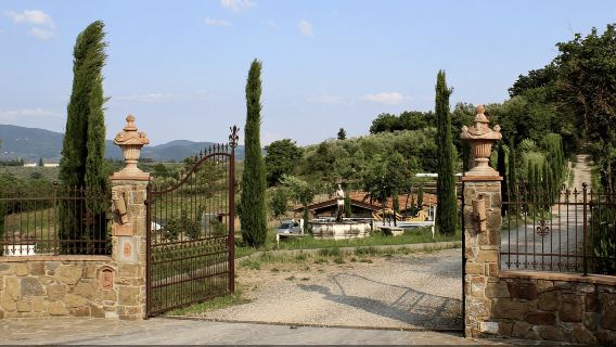 Firenze: passeggiata a cavallo e pasto in fattoria nel Chianti