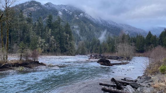 Olympic National Park: Half-Day Tour