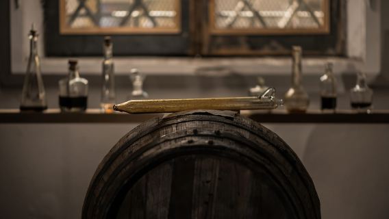 Из Пармы: тур по сыру пармезан, ветчине и бальзамическому уксусу