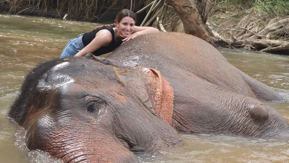 Chiang Mai: Doi Inthanon and Elephant Sanctuary Tour by Trip with 667 reviews