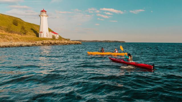 Halifax: Recorrido en kayak por la isla Georges