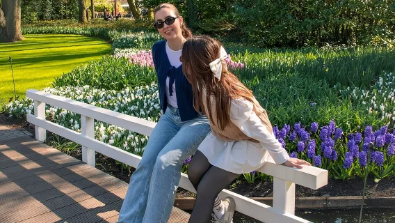 Da Amsterdam: biglietto e trasferimento per i Giardini Keukenhof