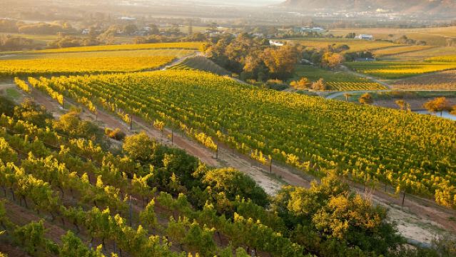 【南非開普敦一日遊】街心花園+博卡普+信號山+酒莊