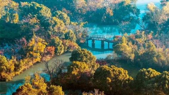 Hangzhou Xixi National Wetland Park Admission Ticket + Rowing Boat Experience Combo Ticket (Immersive Nature Adventure + Reed Marsh & Water Scenery Viewing + Ecological Wonders)