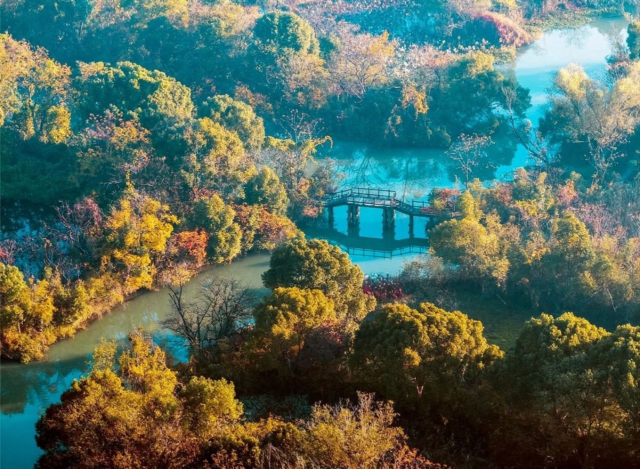 Biglietto d'ingresso combinato per il Parco Nazionale delle Zone Umide di Xixi a Hangzhou + esperienza in barca a remi (esperienza immersiva nella natura selvaggia + ammirazione delle distese di canne e dei paesaggi acquatici + godimento dello splendore ecologico)