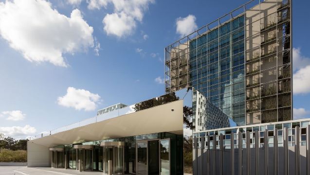 Royal Gallery + Madurodam + International Criminal Court + Escher in the Palace