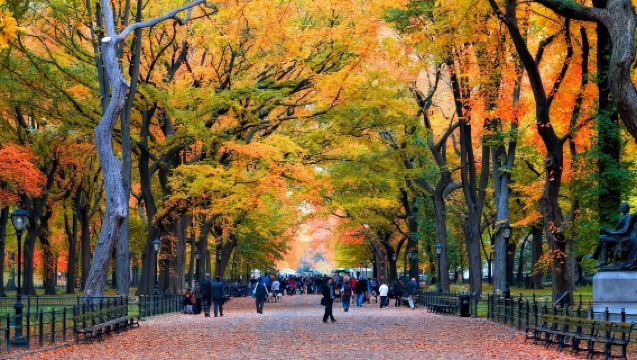 Spanyol - Valladolid Penerjemah Pameran | Pendamping Perjalanan | Penerjemah Bisnis dalam Bahasa Mandarin/Inggris/Spanyol