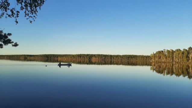 An Enchanting Nature Walk and Campfire in Nuuksio National Park - Half-Day Tour