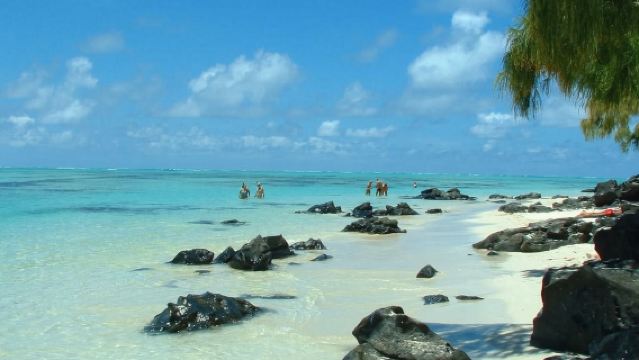 模里西斯北三島一日遊【觀鳥 .浮潛/飯店接送/自行前往碼頭】