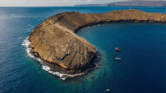 Maui: 2-Hour Molokini Snorkel Trip