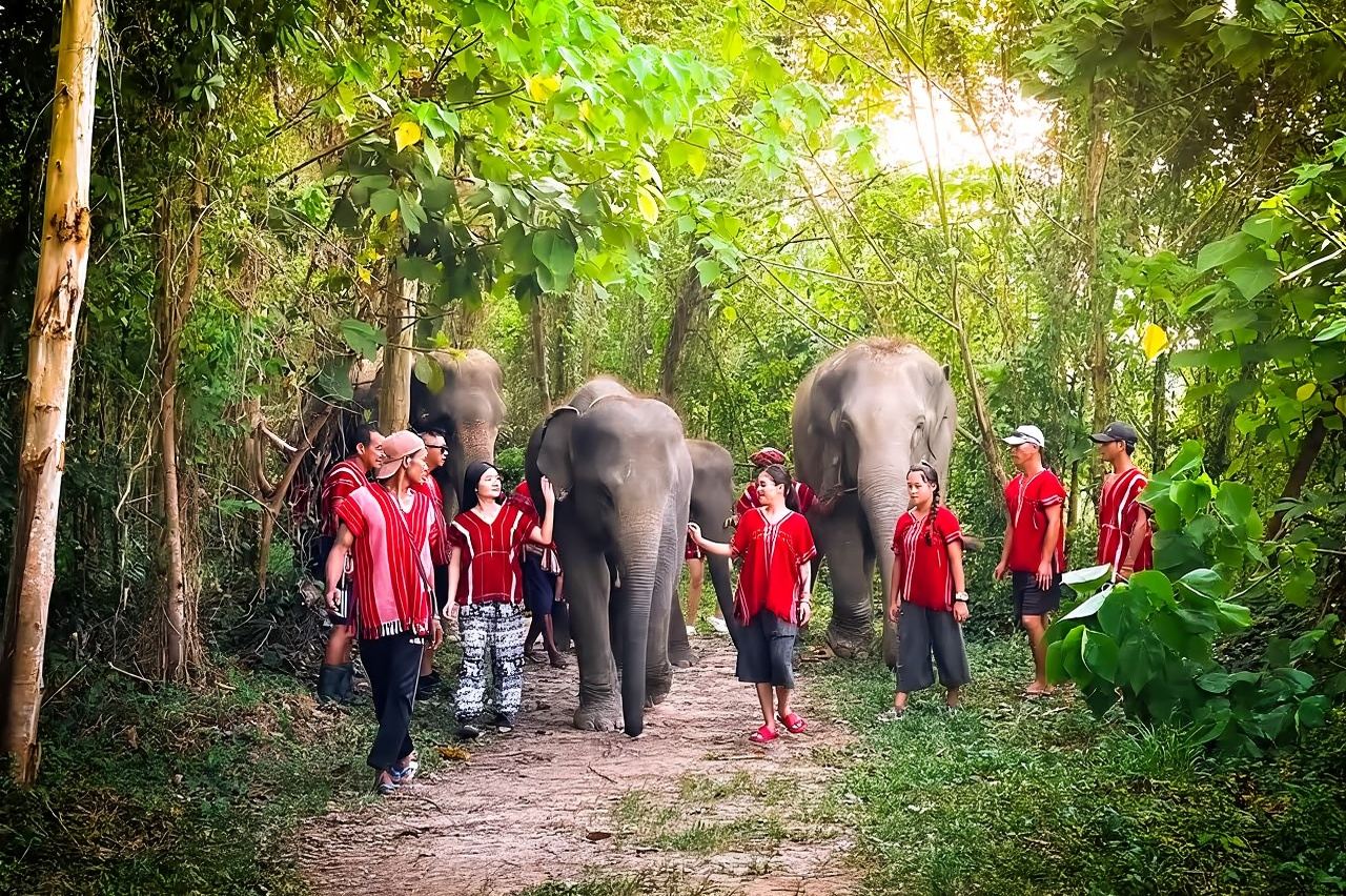 Kerchor Elephant Family Camp, Nutrire e fare il bagno agli elefanti/Cura degli elefanti/Esperienza culturale thailandese