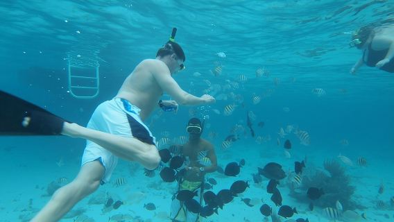 Pengalaman Bandar Stingray Ditambah Dua Perhentian Snorkeling di Grand Cayman