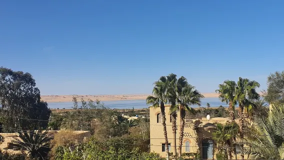 Tour privato Oasi El Fayoum e cascata Wadi Rayan dal Cairo 