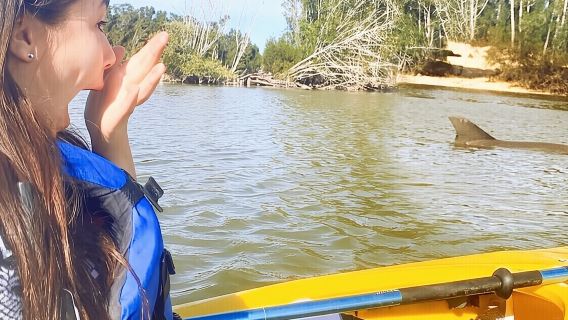 Dolphin & Manatee Kayaking Tour in Orlando Area