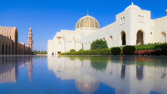 Half-Day Private Muscat City Tour- with a local guide