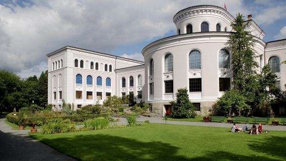 Norway + Bryggen + University of Bergen + Bryggen Museum + Bergen Harbor