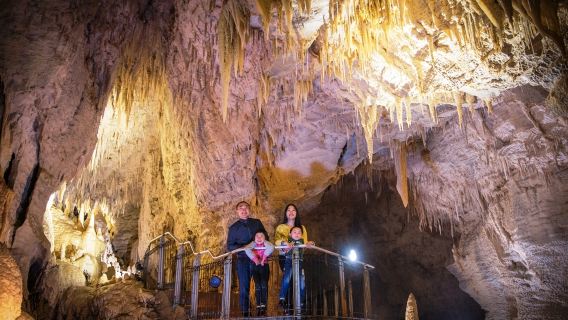 紐西蘭奧克蘭+愛歌頓農場+懷托摩螢火蟲洞一日遊