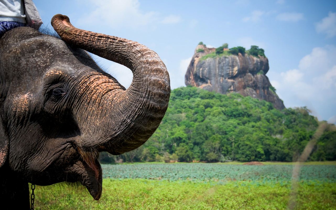 Excursión de un día a la Roca del León de Sigiriya + Lago Hiriwadunna en Sri Lanka