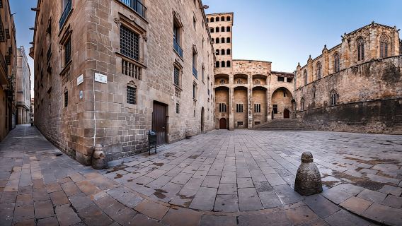 Barcelona art and tapas walking tour with Picasso Museum