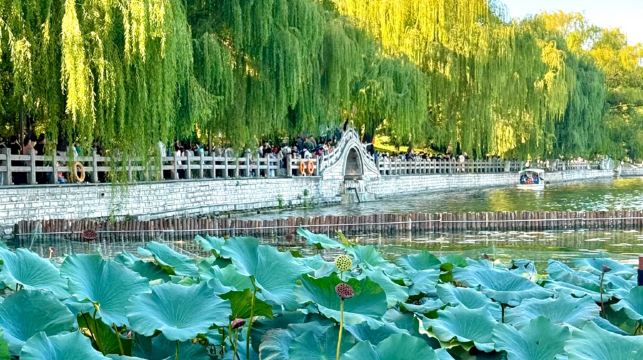 濟南趵突泉+大明湖景區+千佛山一日遊【春季巨惠+全好評 1K+】