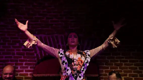 Essential Flamenco: Pure Flamenco Show in the Heart of Madrid