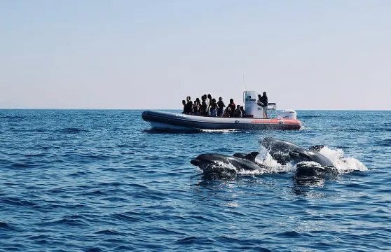 從阿爾布費拉出發，尋找海豚和貝納吉爾洞穴