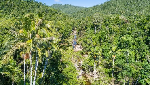 Whitsunday Segway Rainforest Discovery Tour