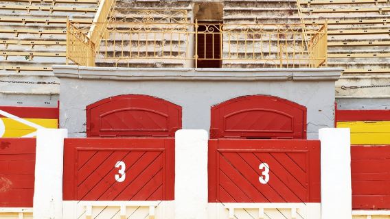 Alicante Bullring: Private Guided Tour