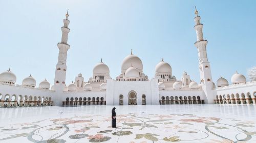 Abu Dhabi: Half-Day Guided City Tour Day Tours 2