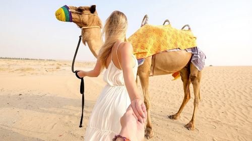 Private 4Hours Red Dunes Safari Camel Ride ,Falcon & Dune Thrills 3