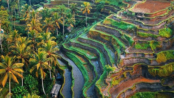 Bali Kintamani tour