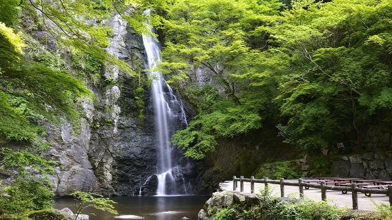 日本大阪+枚方公園+箕面國定公園+箕面瀑布一日遊