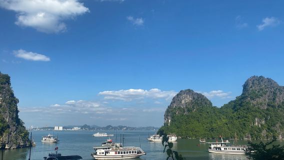 Halong-Bucht: 4-stündige Kreuzfahrt mit Höhlenforschung, Kajakfahren und Mittagessen