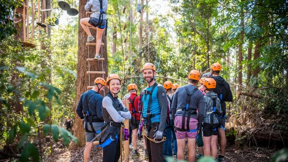 Canberra: Majura Pines Baumseilgarten