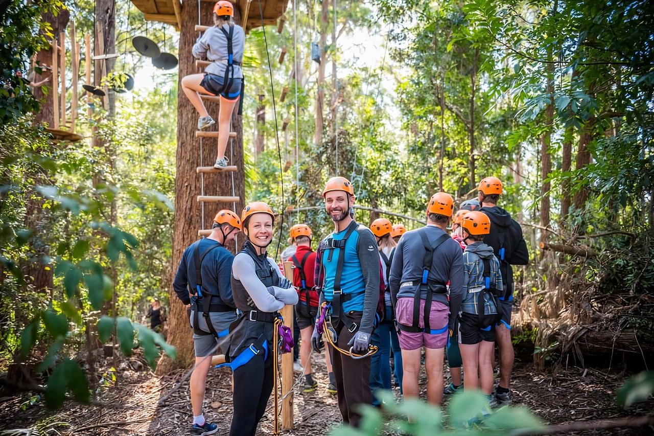 Canberra: Majura Pines Tree Ropes Course