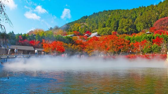 Osaka: Minoh, Katsuoji, Arashiyama, Byodoin (con almuerzo de carne de Kobe)