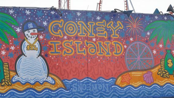 Desde Manhattan: tour de día completo por los distritos de Nueva York y Coney Island