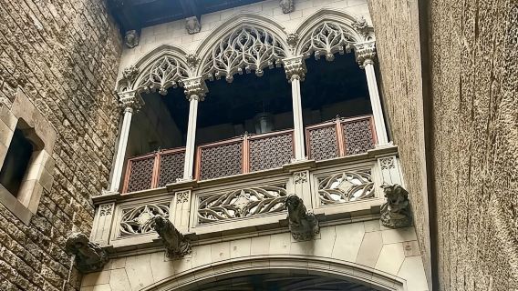Semi-Private Barcelona Gothic, Parc Guell & Sagrada Familia