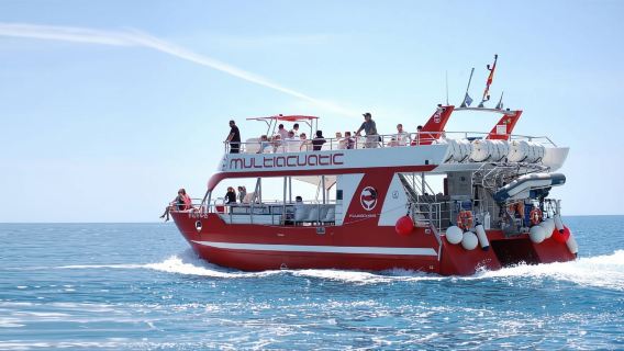 Gran Canaria: Crucero de avistamiento de delfines y ballenas