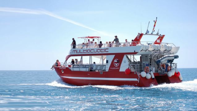 Gran Canaria: Dolphin and Whale Watching Cruise