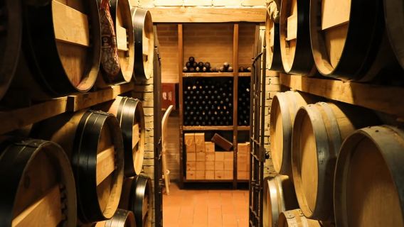 Từ Florence: Tour rượu vang Chianti kèm nếm thử