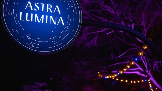 Astra Lumina Entry at Currumbin Wildlife Sanctuary