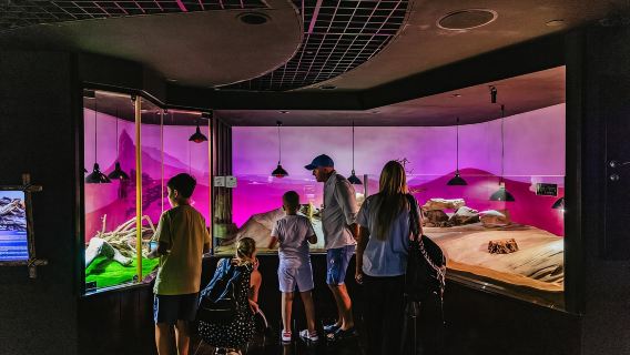 ดูไบ: บัตรคอมโบพิพิธภัณฑ์สัตว์น้ำและ Burj Khalifa ชั้น 124 และ 125